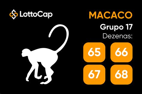 macaco jogo do bicho